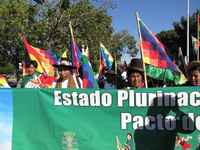 AIH presente en la Manifestación de Cancún contra la COP 16, MEJICO, diciembre 2010