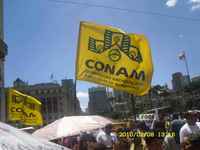Bandeiras CONAM