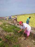 Oaxaca, Apropiación del Tanque Morelos en la Jornada Cero Desalojos