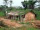 Village of Yapleu, Moyen Cavally, in the western area  of Côte d’Ivoire (Barbara McCallin/IDMC, July 2008), DECEMBER 2009