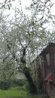 Behind the social housing to be demolished (Duisburg, 26 04 2013)